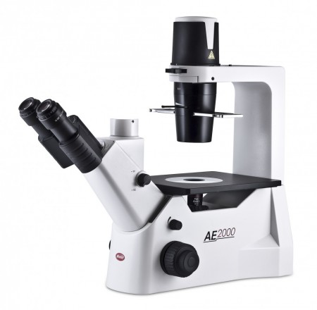 AE 2000