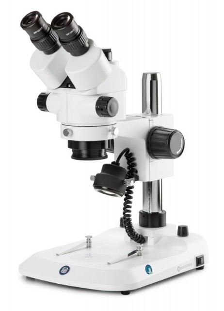 stereomikroskop